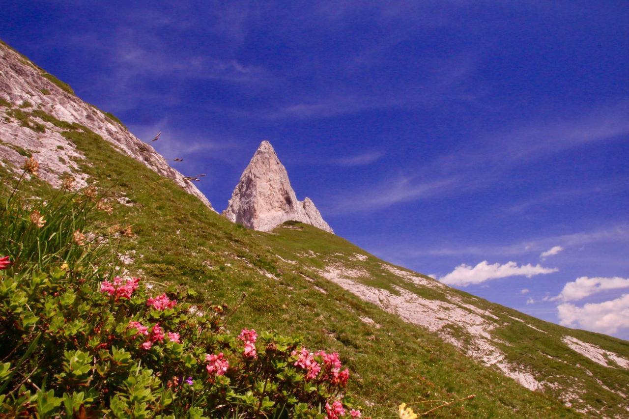 Schermerhuetten Tauplitzalm المظهر الخارجي الصورة